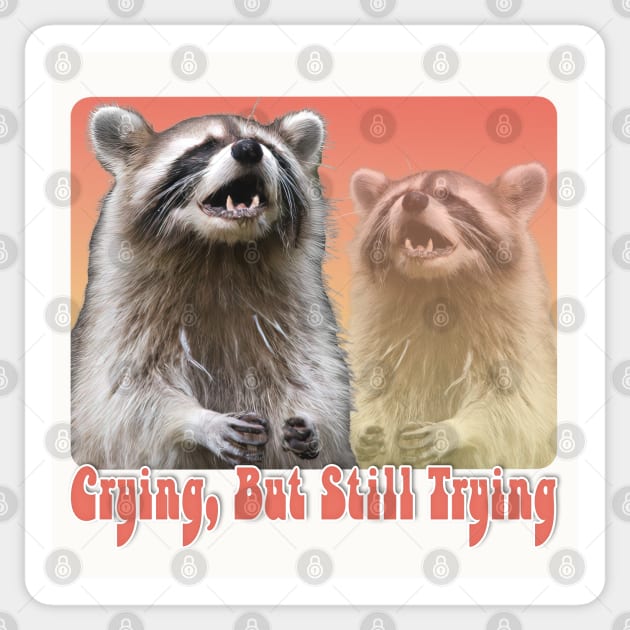 Crying, But Still Trying -  Raccoon Lover Design Sticker by DankFutura